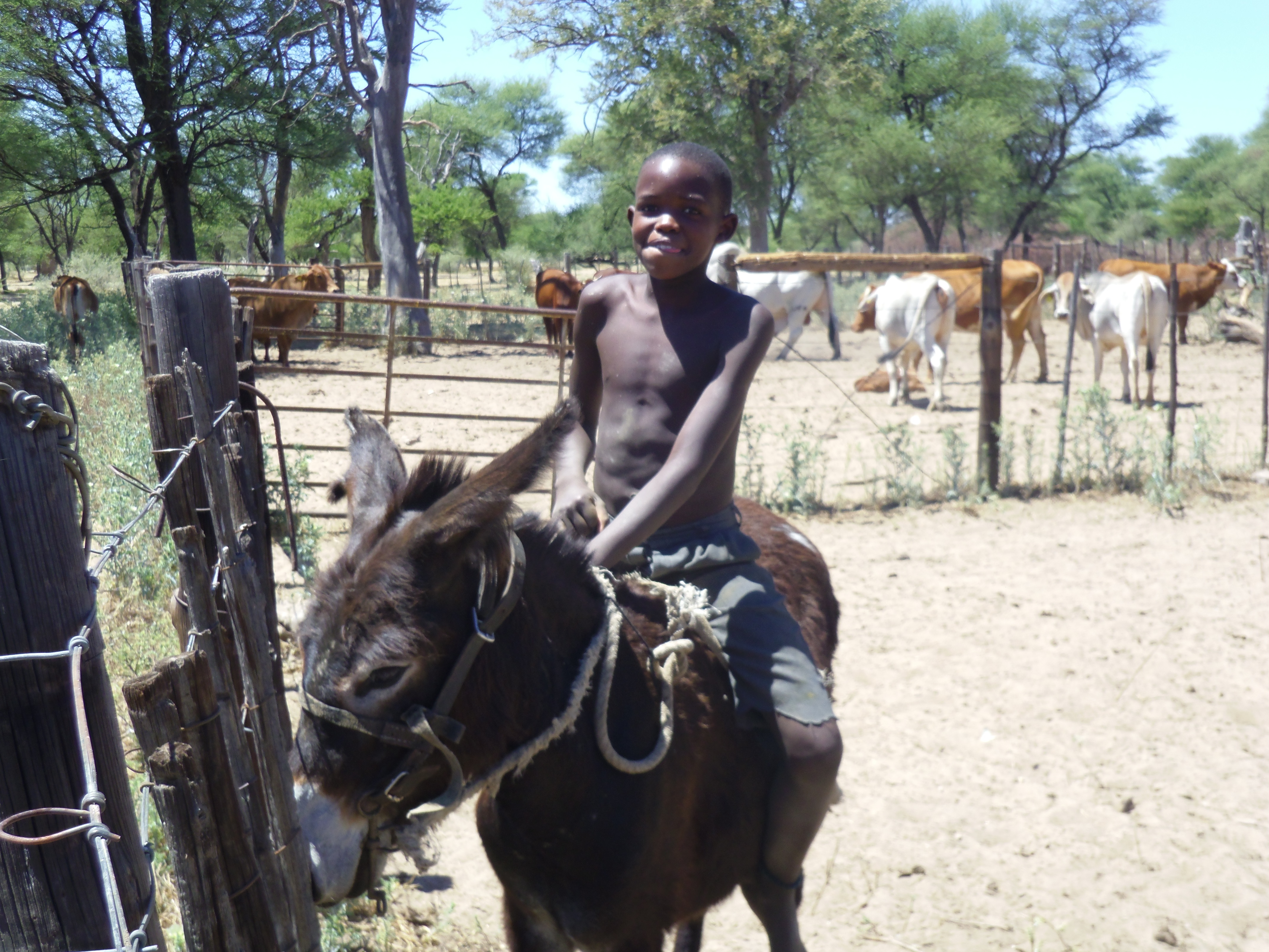 A boy in Orunahi, Namibia