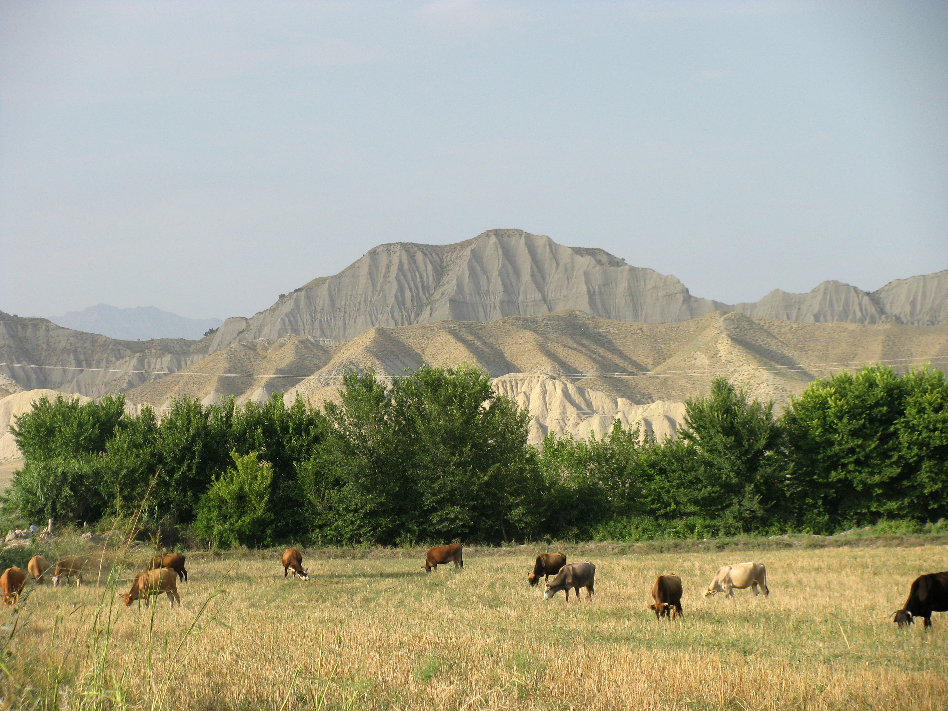 The Azeri countryside