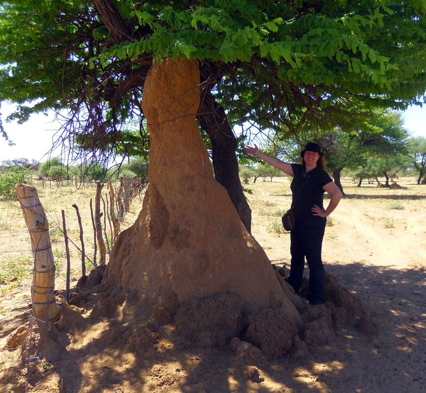 Mary by a termite mound in Namibia