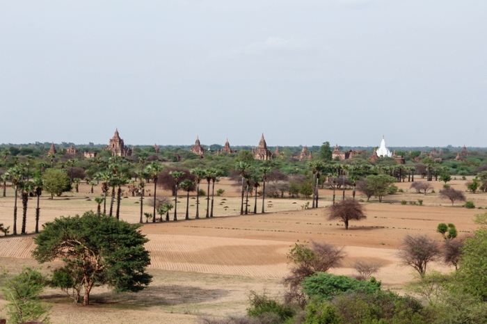Desert of Bagan