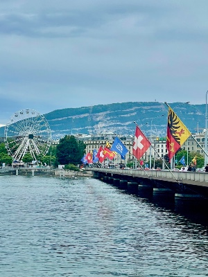 Ferris wheel by lake in Geneva