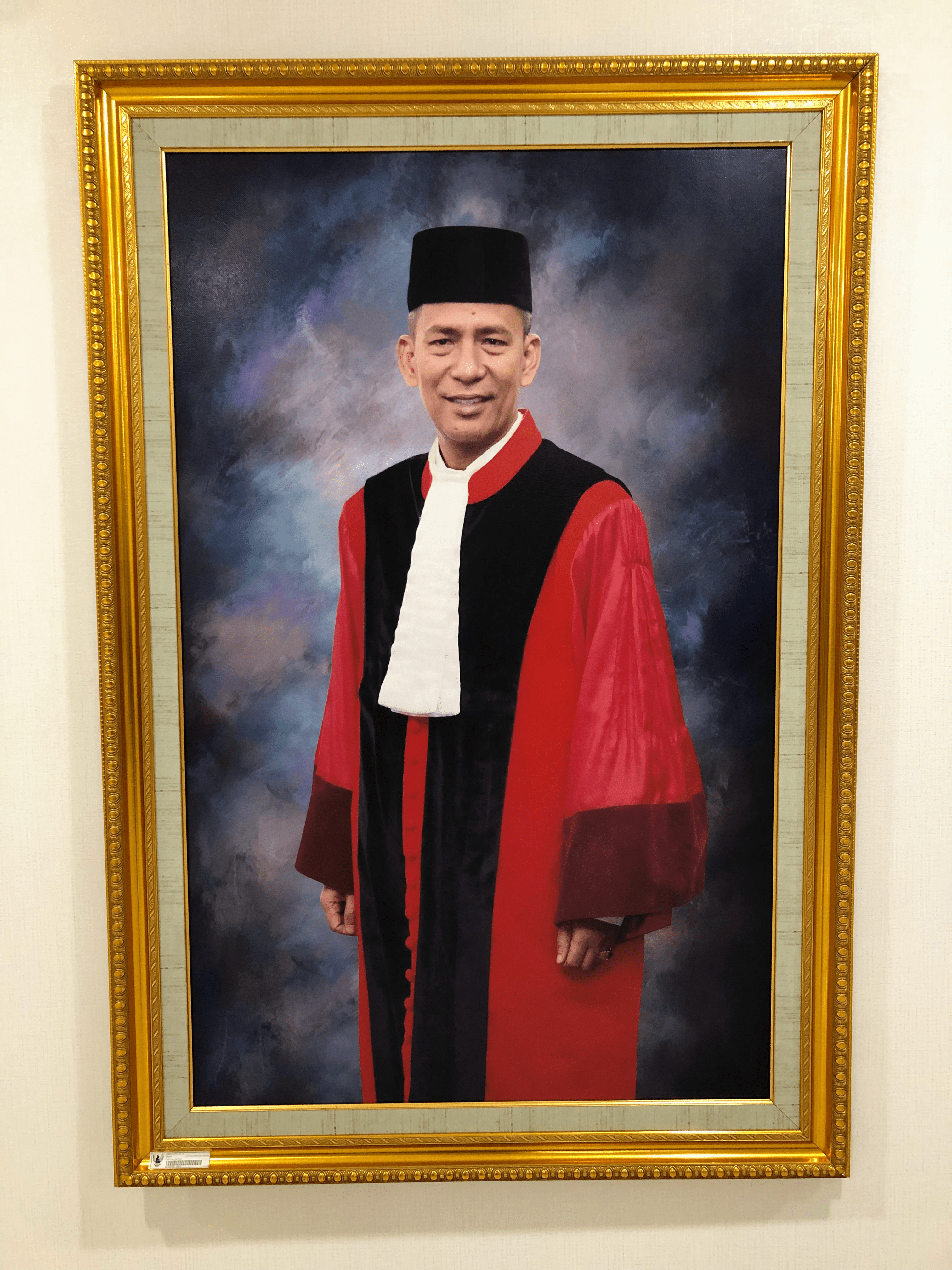 I haven't yet asked to take a picture with Justice Saldi, but here is his court portrait in his judicial dress.