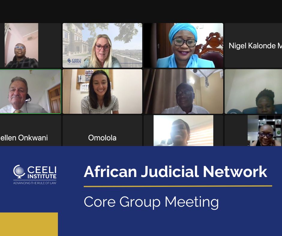 Screenshot from the core group meeting of the African Judicial Network. 