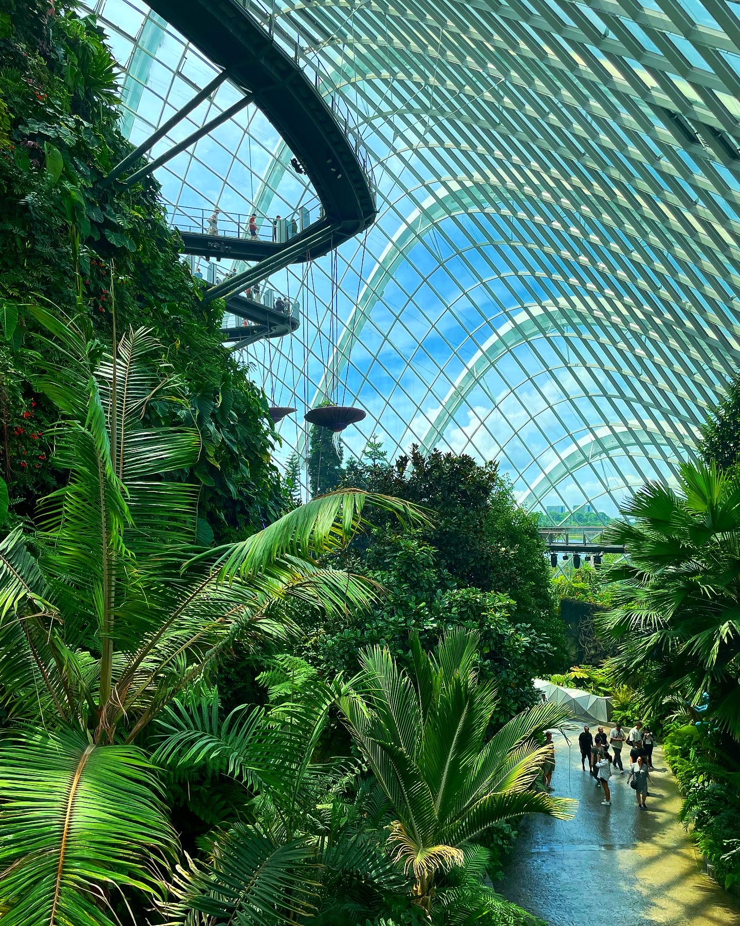Inside the Cloud Forest
