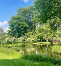 The Park in Voorburg Near my Apartment