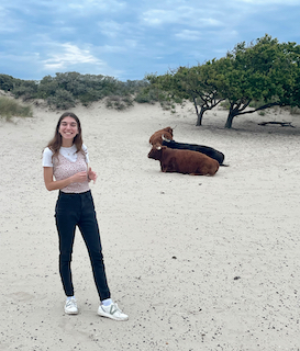 Highland Cows of Westduinpark