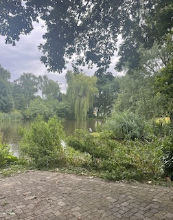 Park in Our Voorburg Neighborhood