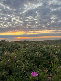 Sunset on the Beach Dune