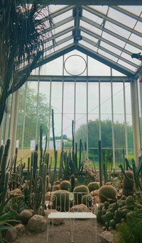Greenhouse at the Jardin Botanique