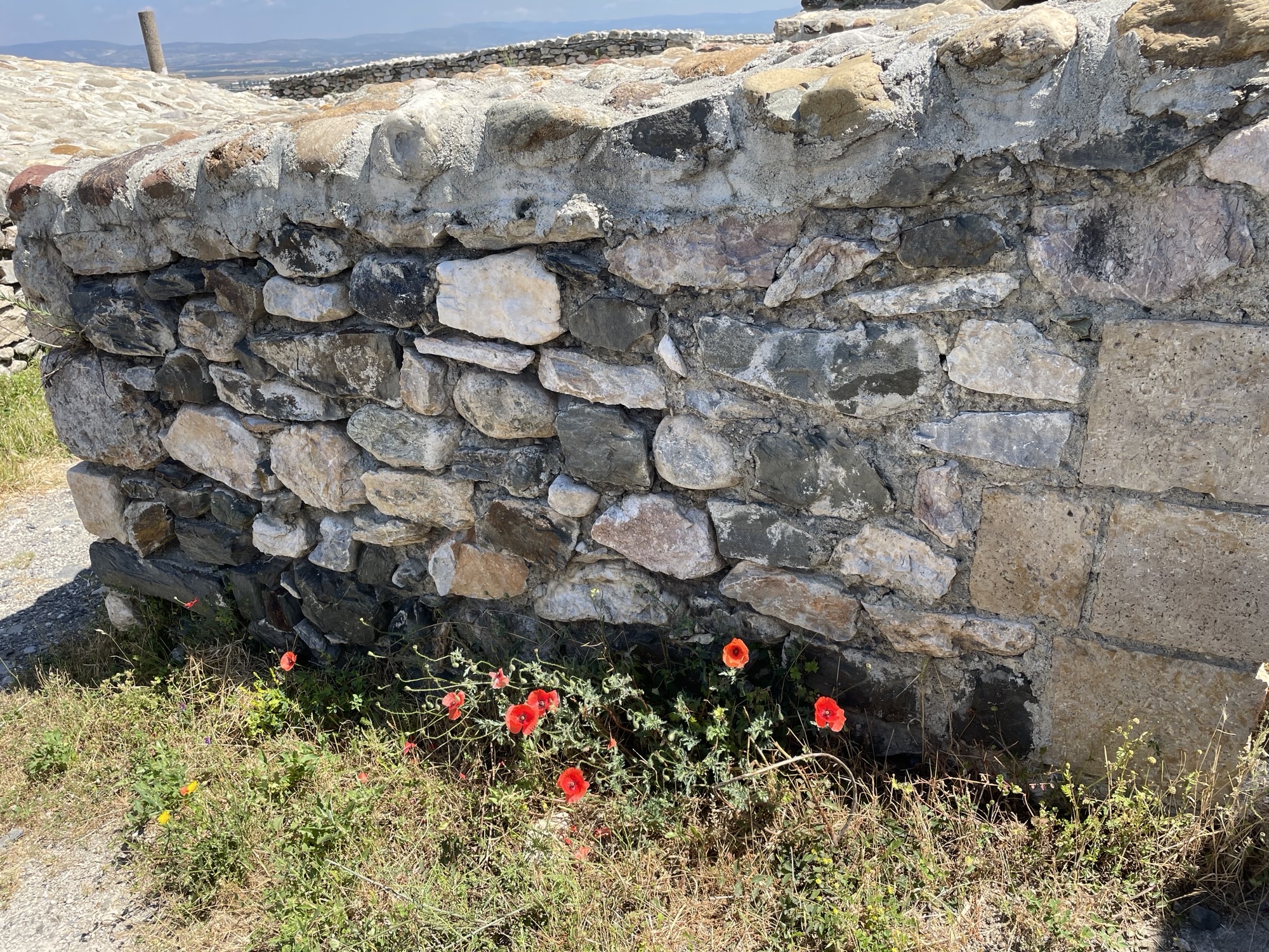 Another stone wall. This one has a bunch of red flowers growing along its base.