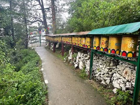 One of the many prayer wheels around the Dalai Lama temple. Spinning them clockwise is equivalent to saying all of the prayers inside. 