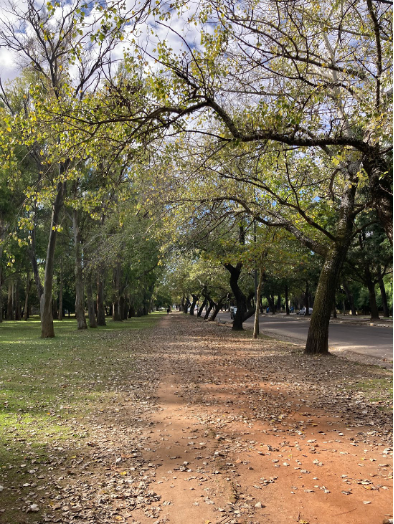 Autumn in El Bosque Park in La Plata