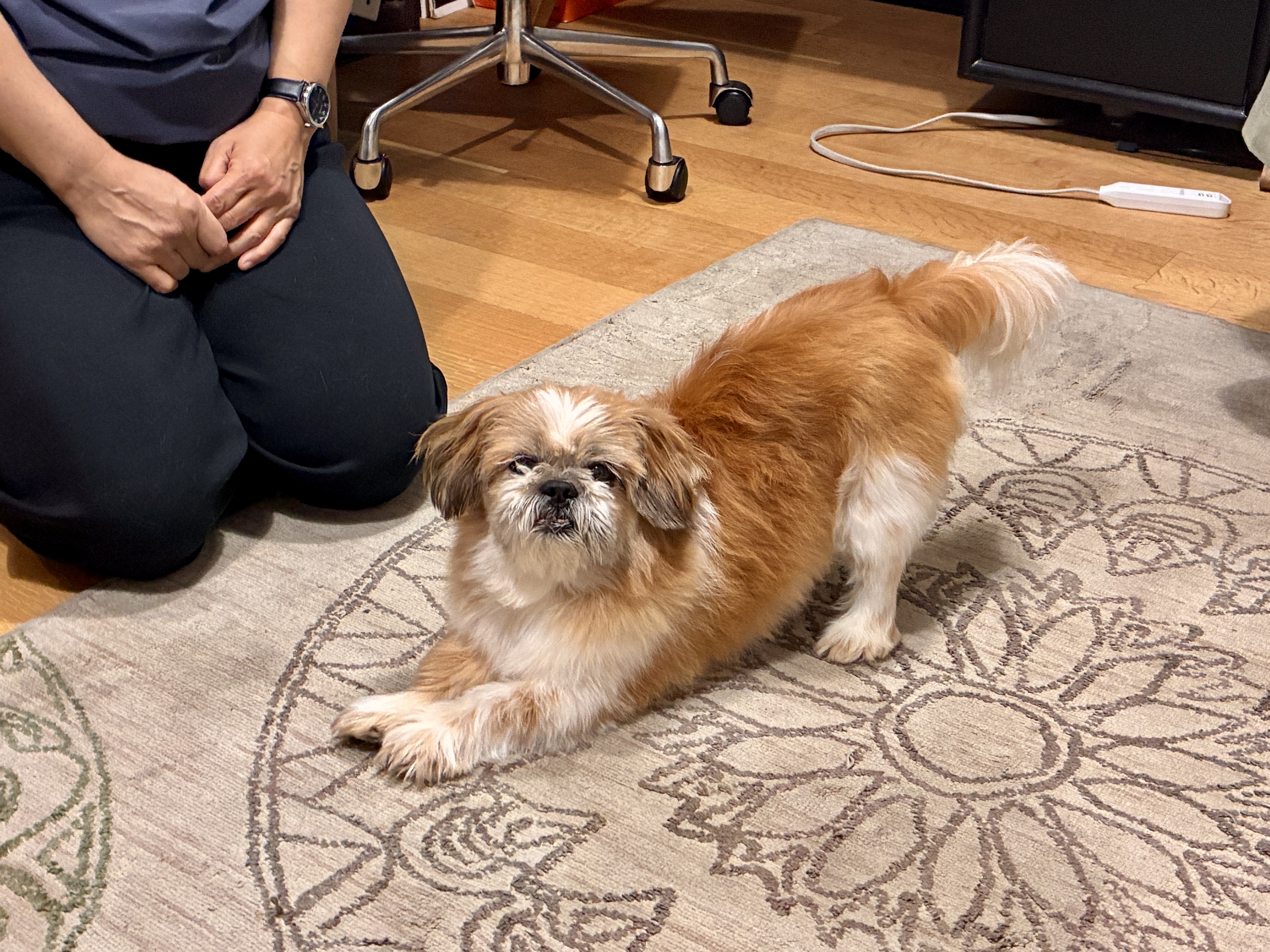 Have you ever seen such a beautiful creature?