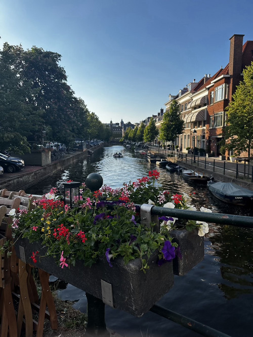 Canal shot from my walk to work.