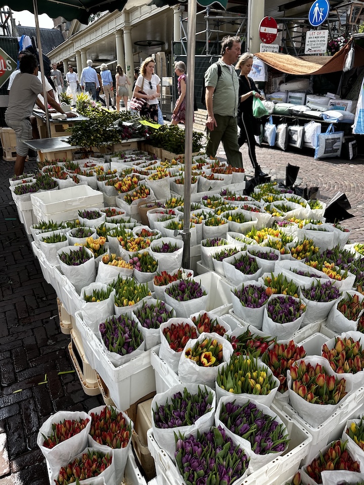 Leiden Saturday market