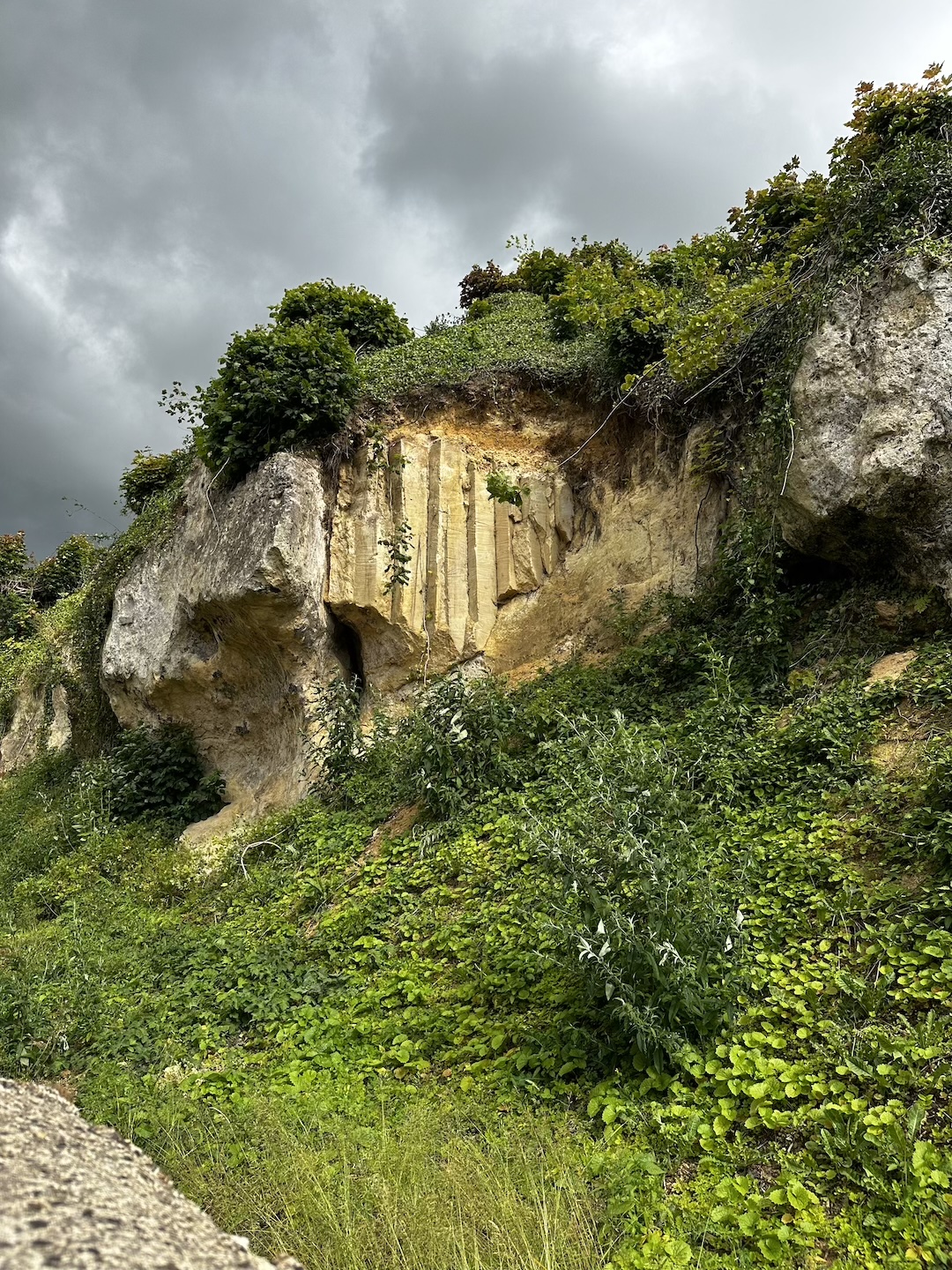 Close up of the marlstone of the Maastricht Formation.