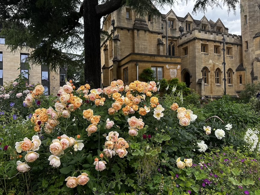 In front of Mansfield College
