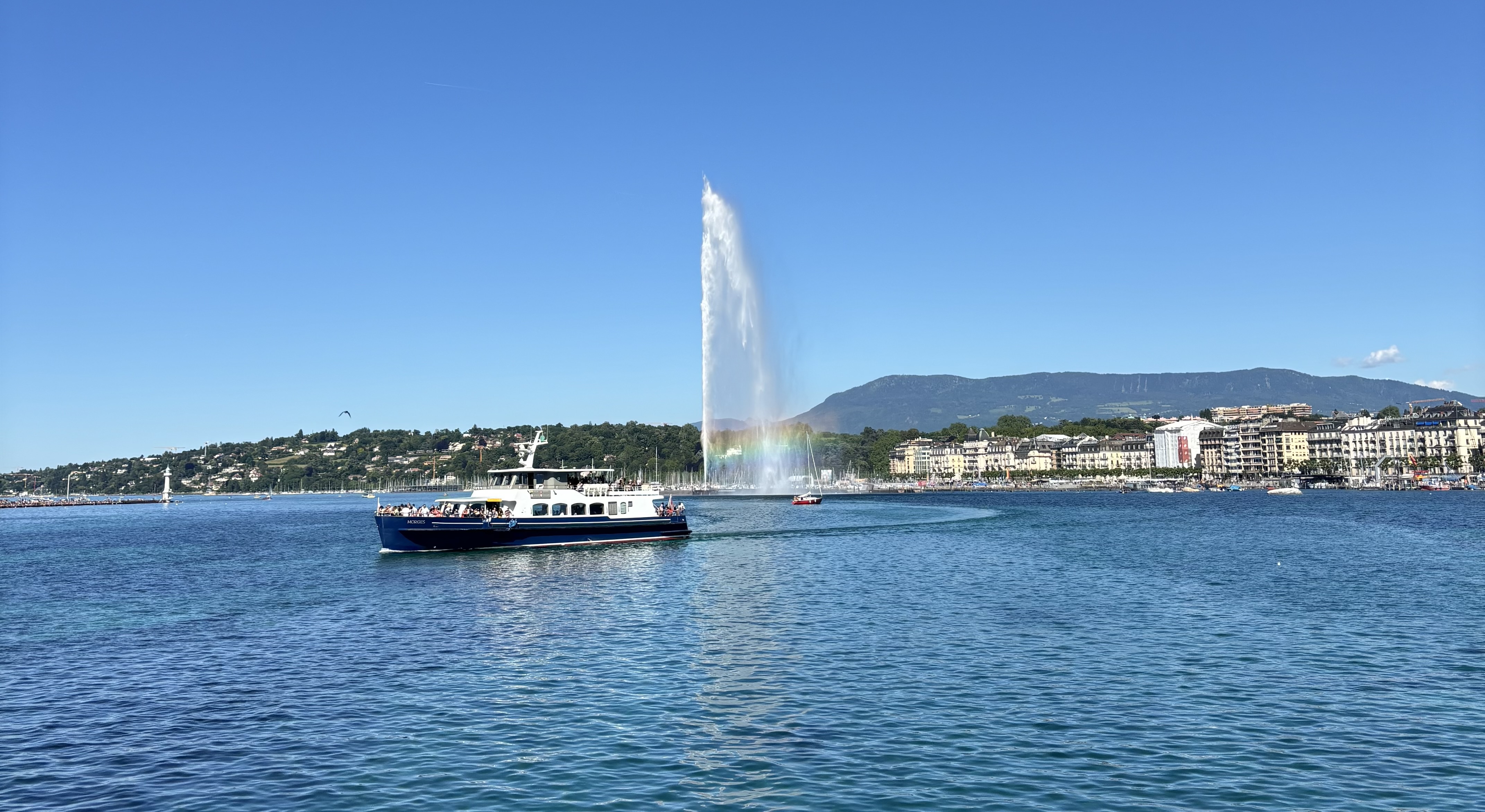 My walk home from IBJ.