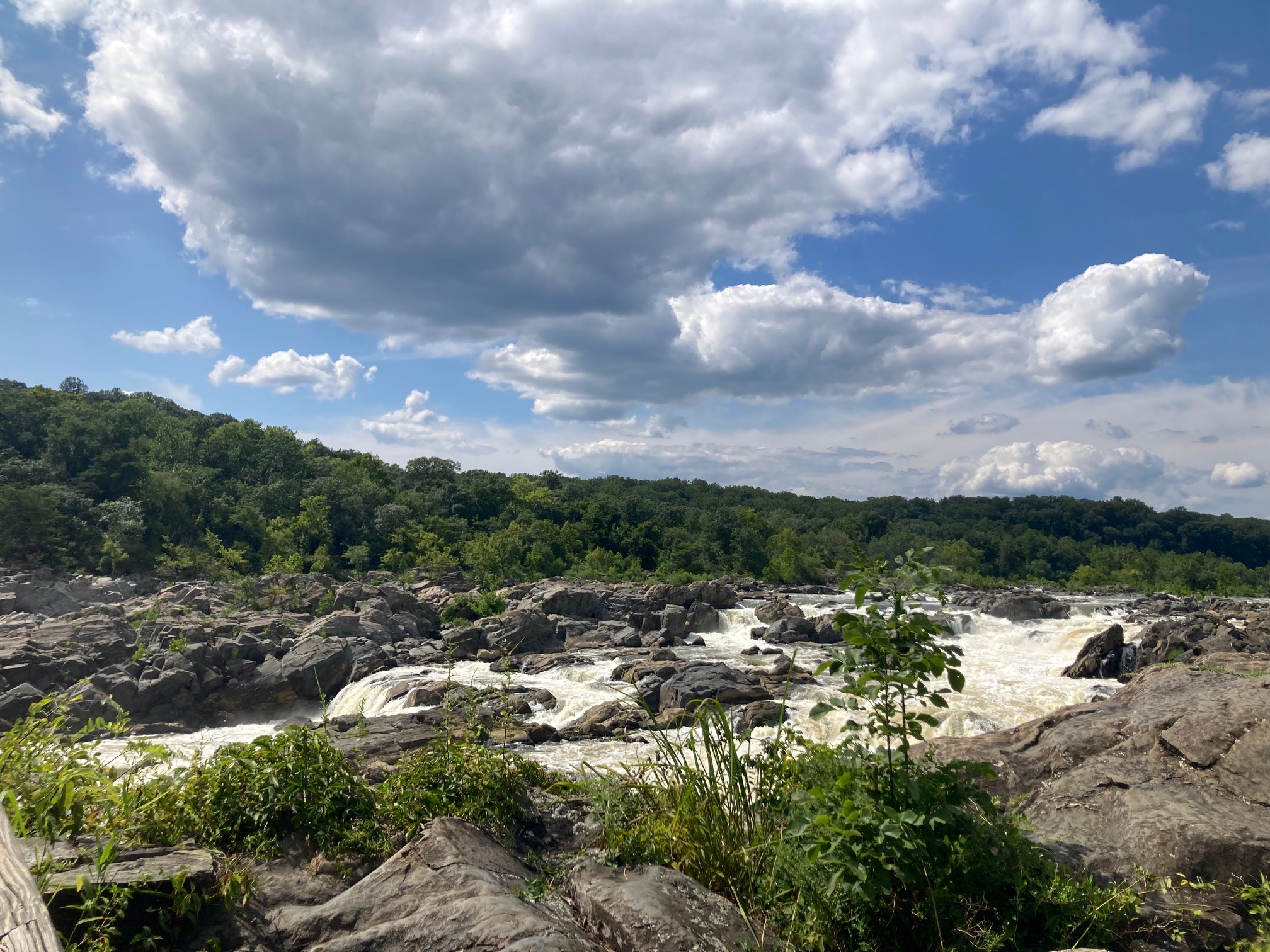 A view of Great Falls.