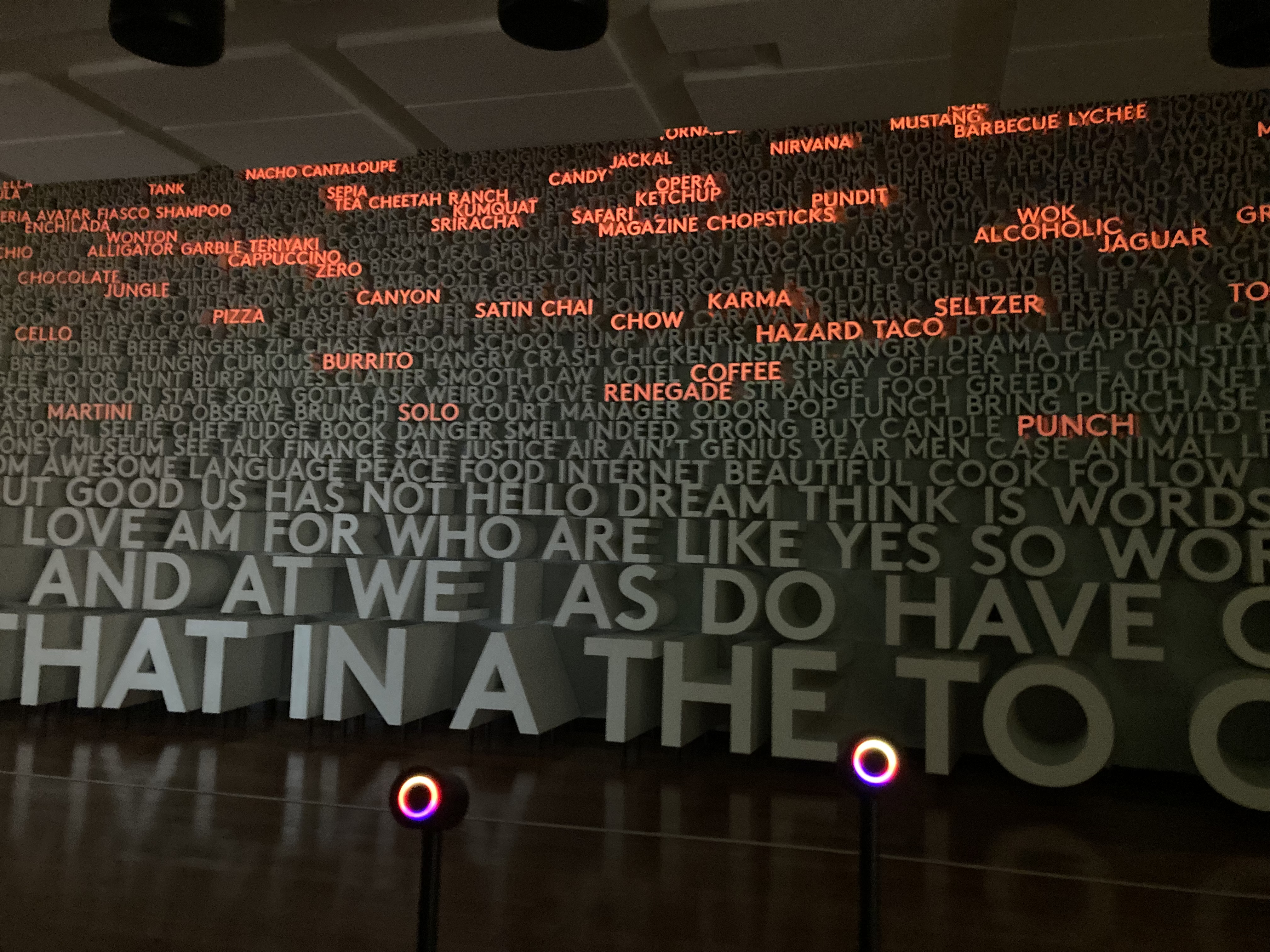 Examples of loan words in English.