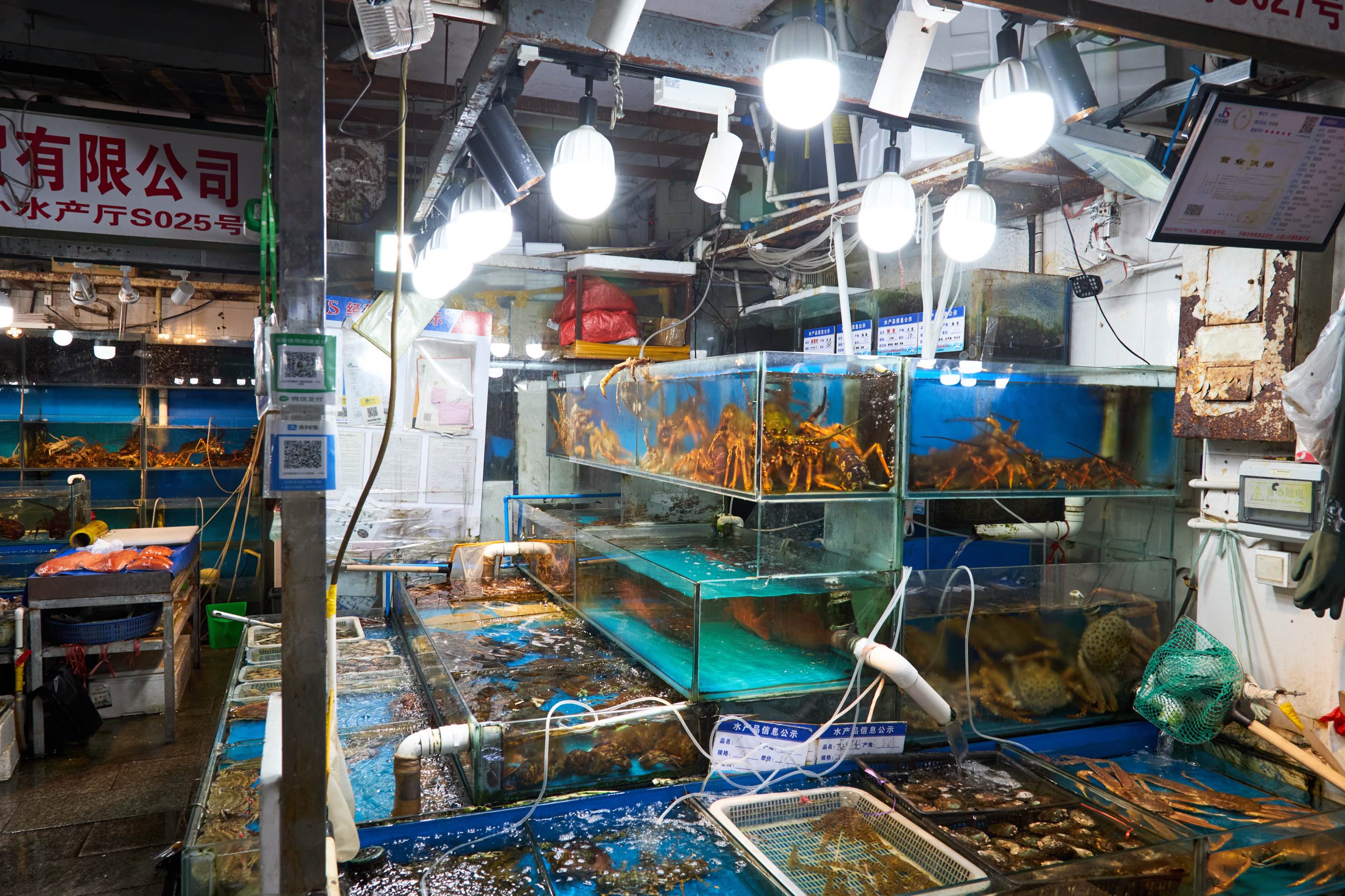 Inside the Seafood Market