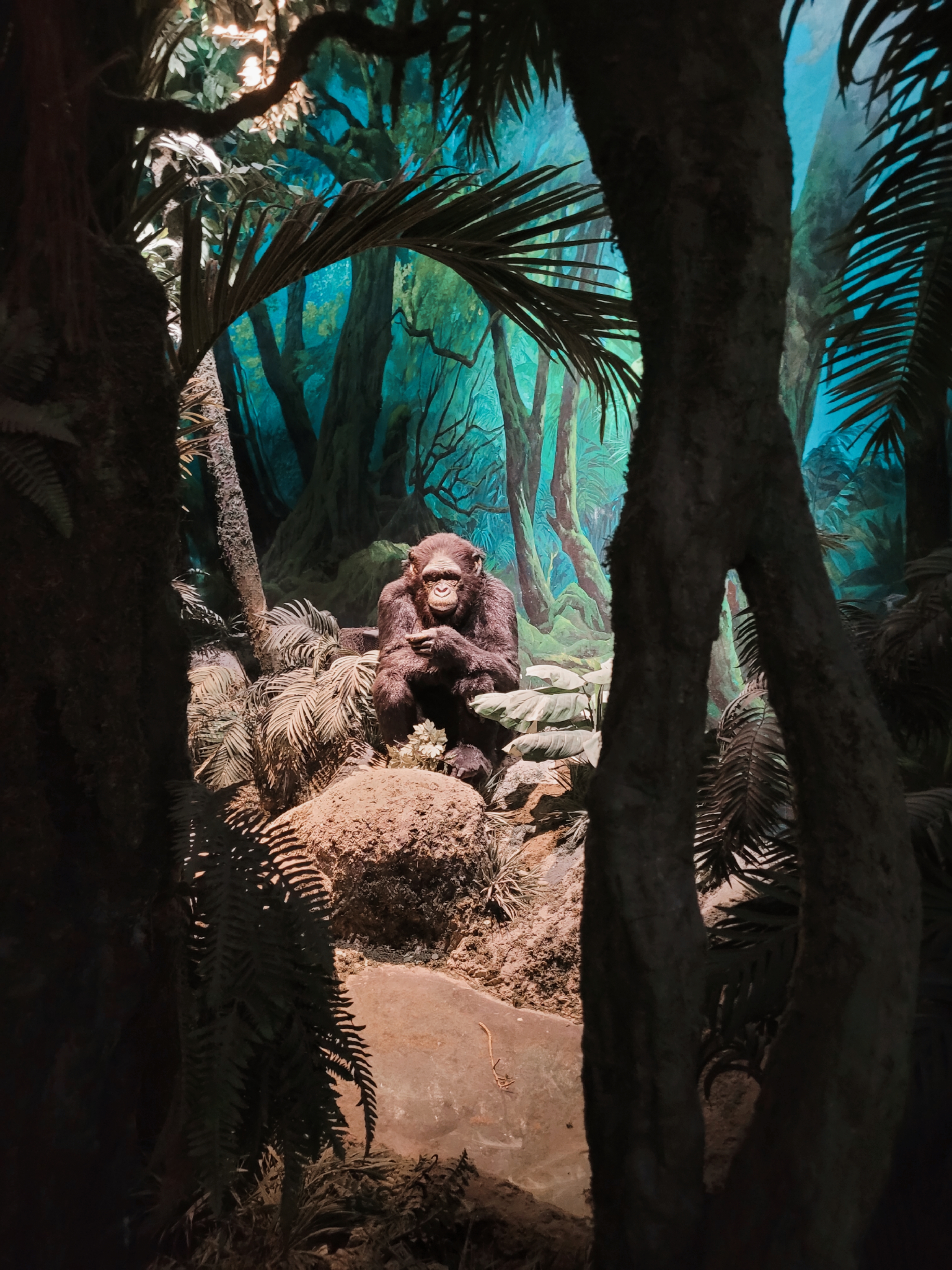 What's he pondering?