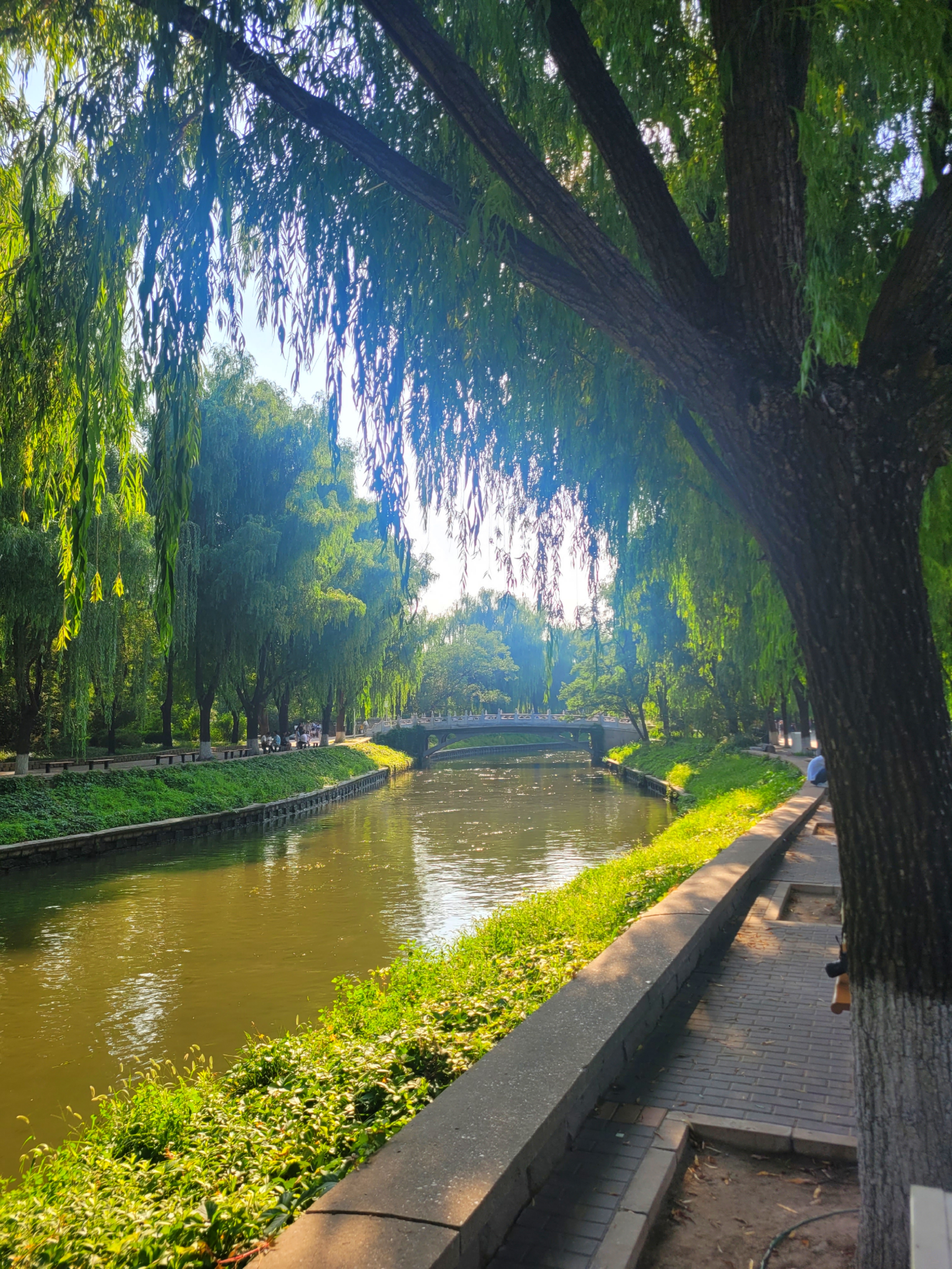 Gorgeous View at the Zoo