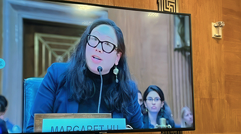 Hu testifies before the U.S. Senate Committee on Homeland Security and Governmental Affairs. (Law School photo)